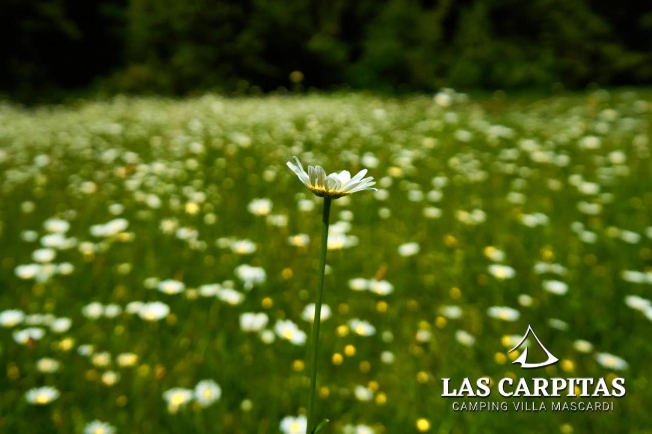 Villa Mascardi Las Carpitas Bed & Breakfast エクステリア 写真