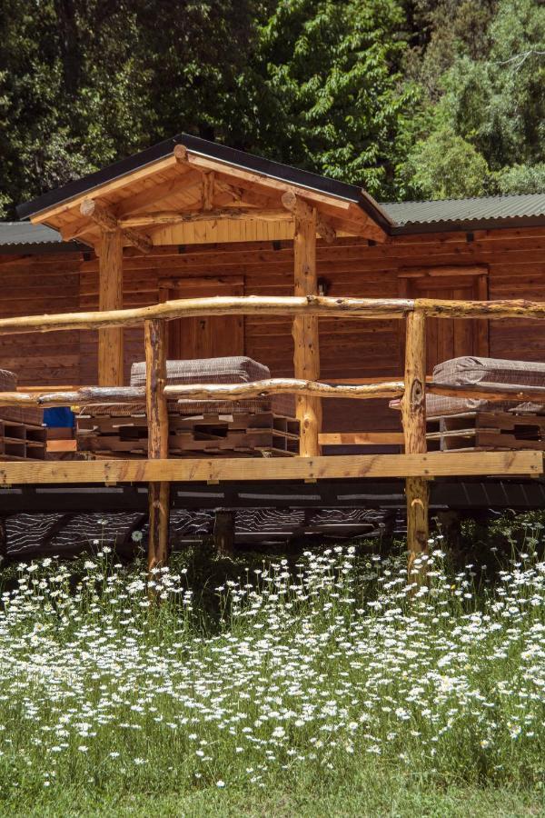 Las Carpitas Villa Mascardi エクステリア 写真